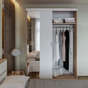 Шкаф-купе Брауни 1.5м в Ленске - lensk.mebelnovo.ru | фото